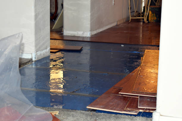 Professional Basement Flood Cleanup technician working in Robersonville, NC